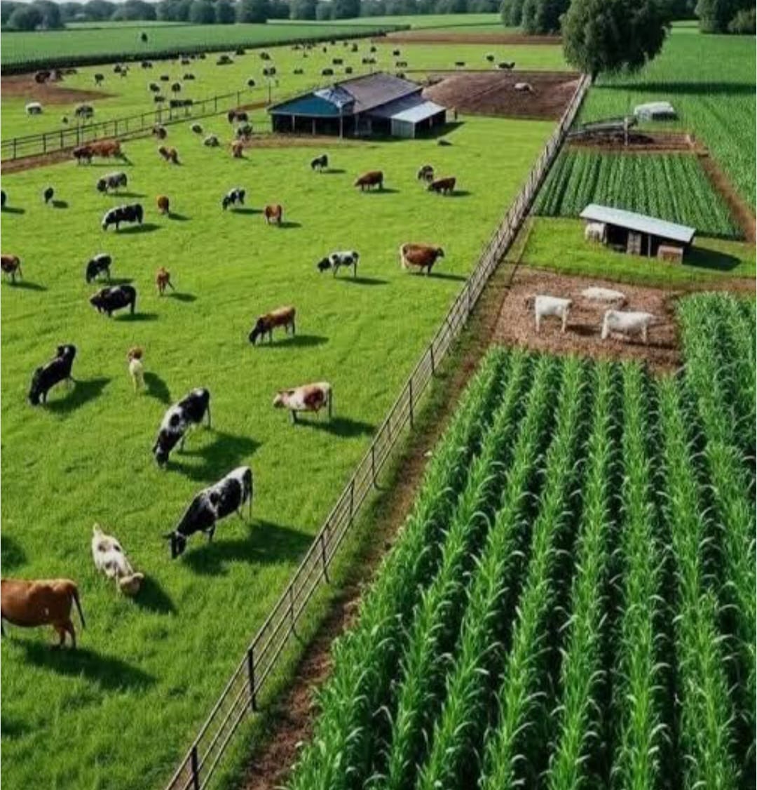 National Certificate Farming NQF Level 1